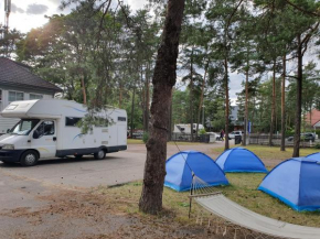 Camping Freedom in Tallinn